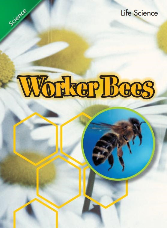 Worker Bees