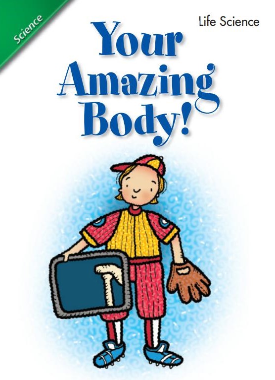 Your Amazing Body!