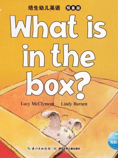 What is in the box