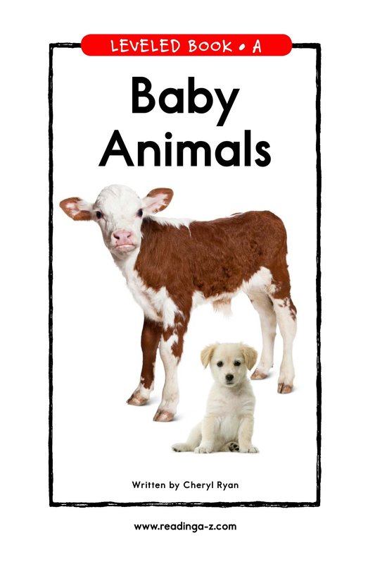 Baby Animals