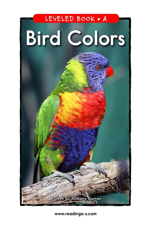 Bird Colors