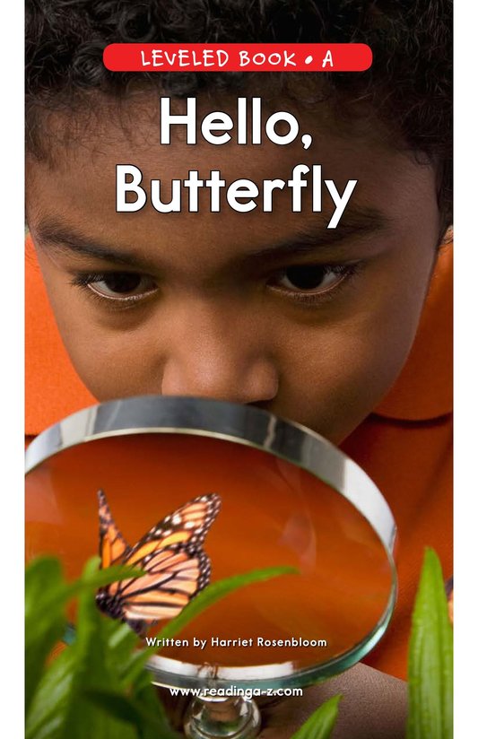 Hello,Butterfly