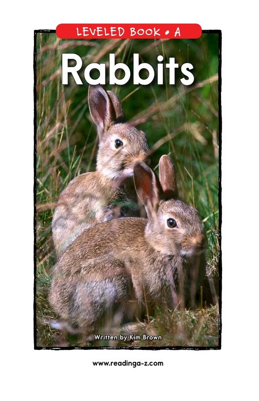 Rabbits