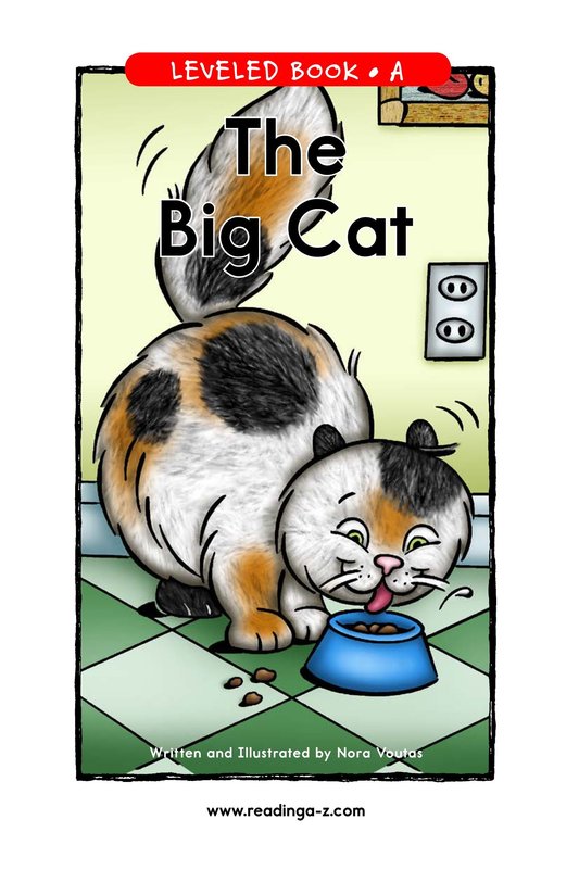 The Big Cat