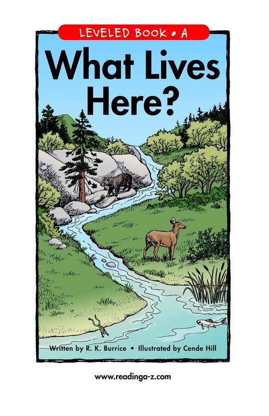 What Lives Here