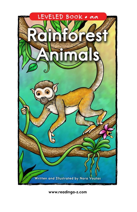 Rainforest Animals
