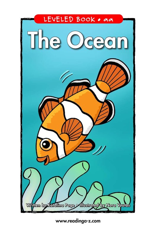 The Ocean