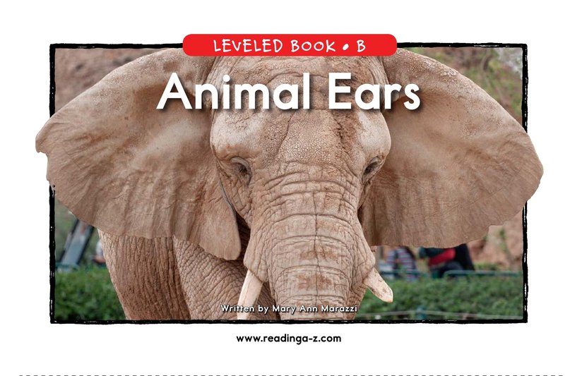 Animal Ears