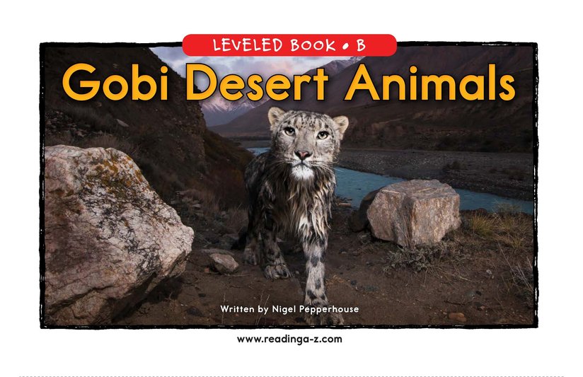 Gobi Desert Animals