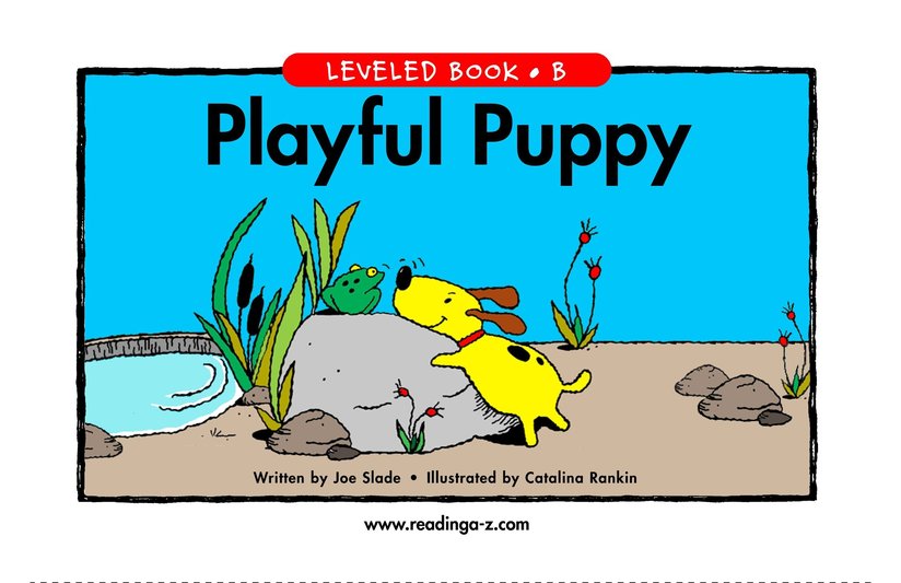Playful Puppy