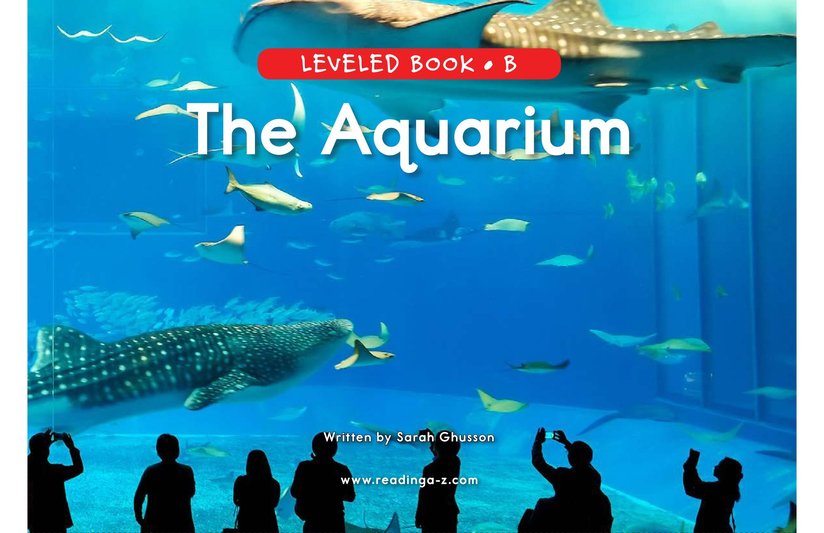 The Aquarium
