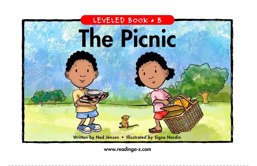 The Picnic