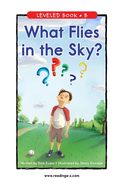 What Flies in the Sky