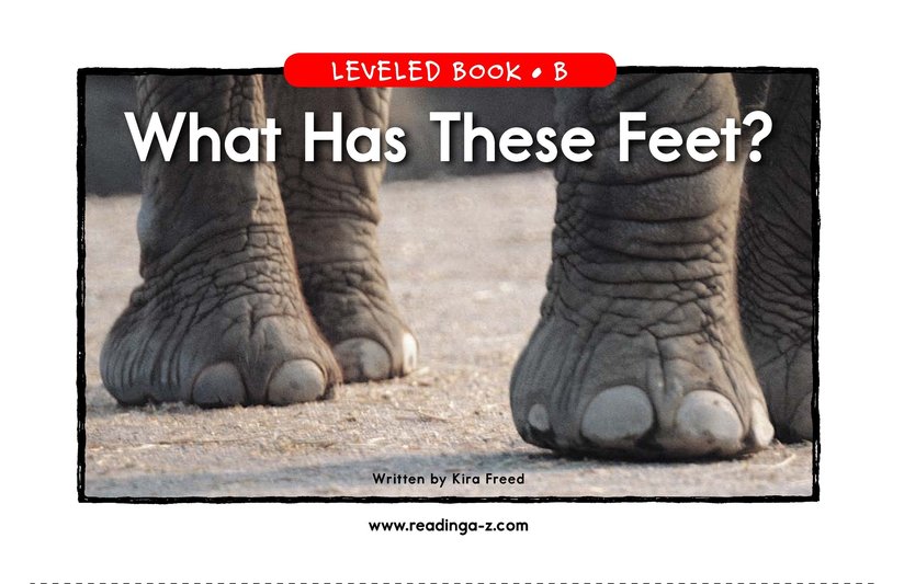 What Has These Feet