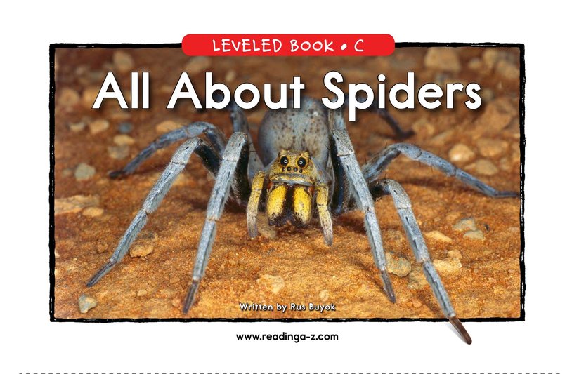 All About Spiders