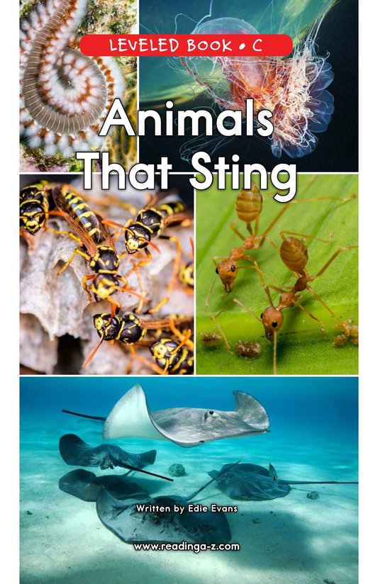 Animals That Sting