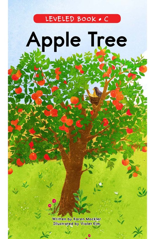 Apple Tree