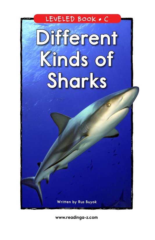 Different Kinds of Sharks