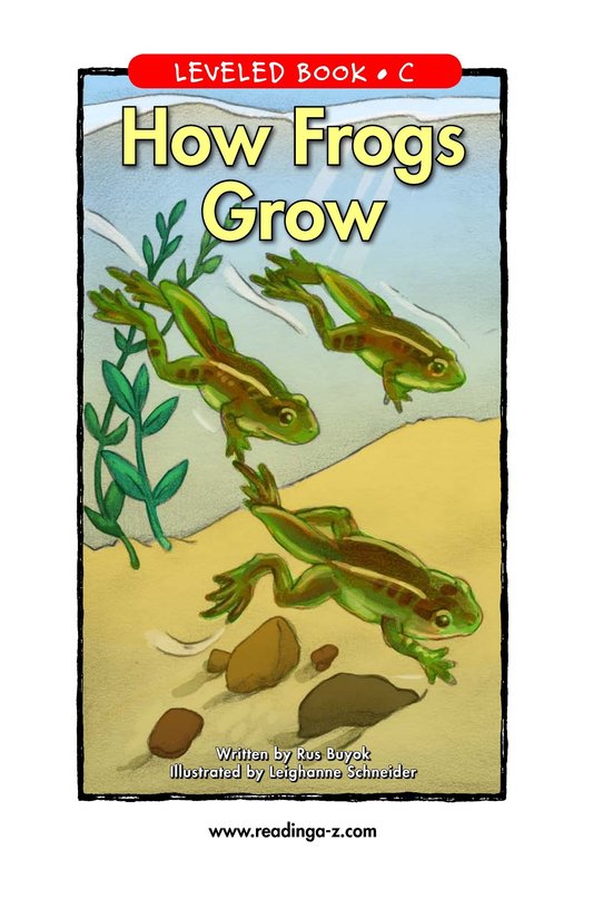How Frogs Grow