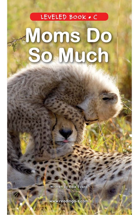Moms Do So Much