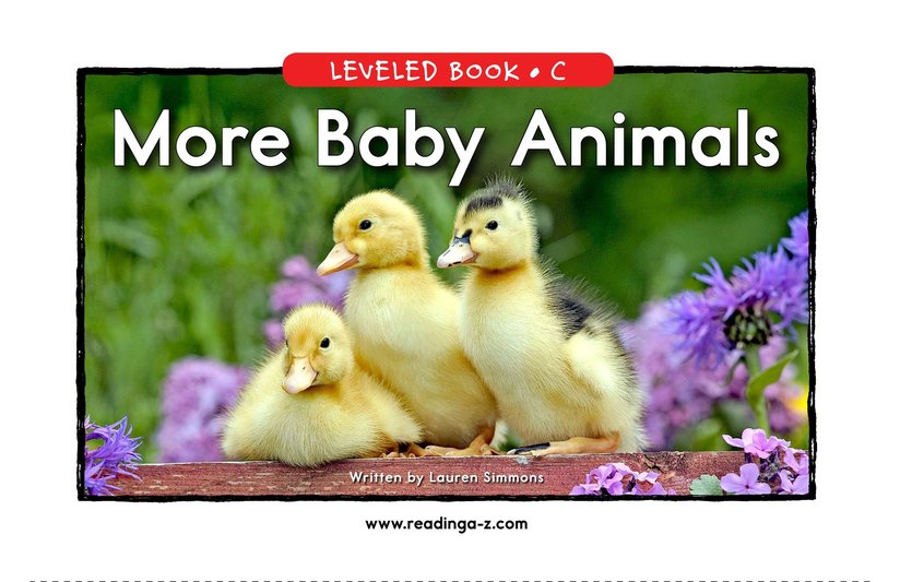 More Baby Animals