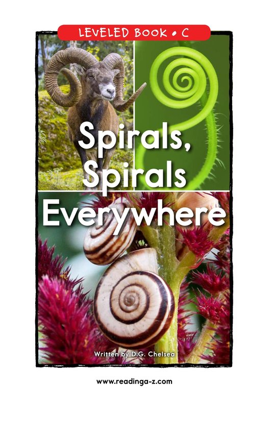 Spirals,Spirals Everywhere