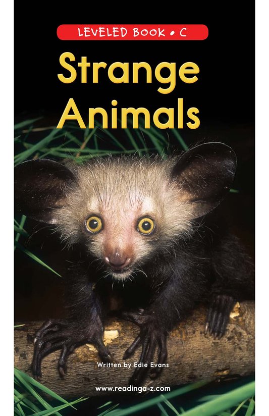 Strange Animals