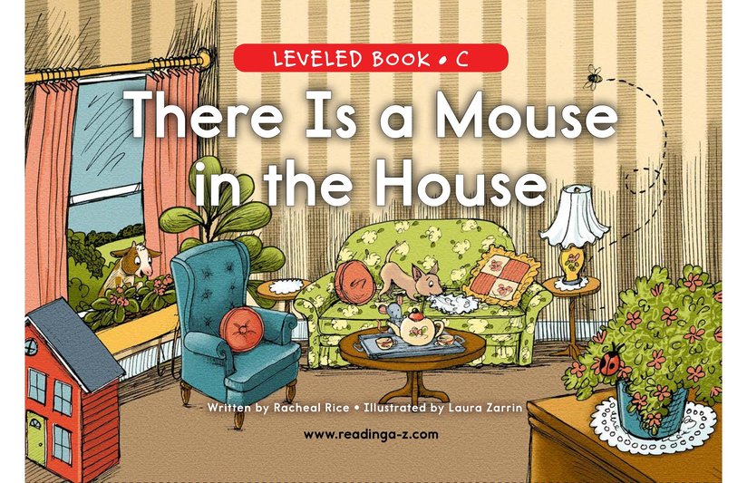 There Is a Mouse in the House