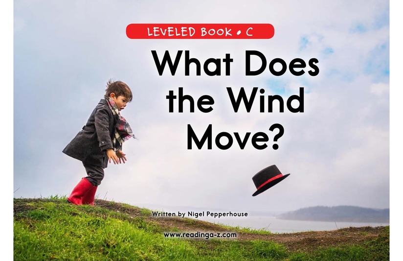 What Does the Wind Move