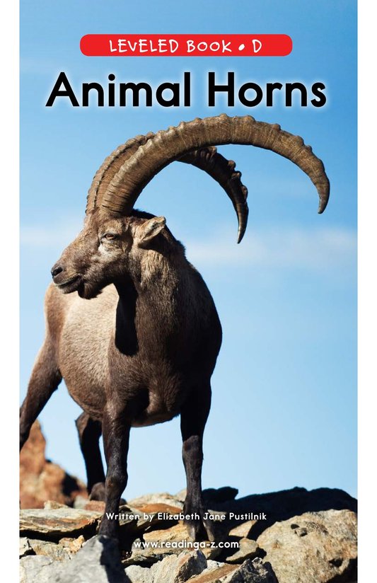 Animal Horns