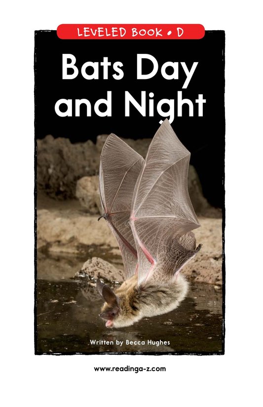 Bats Day and Night