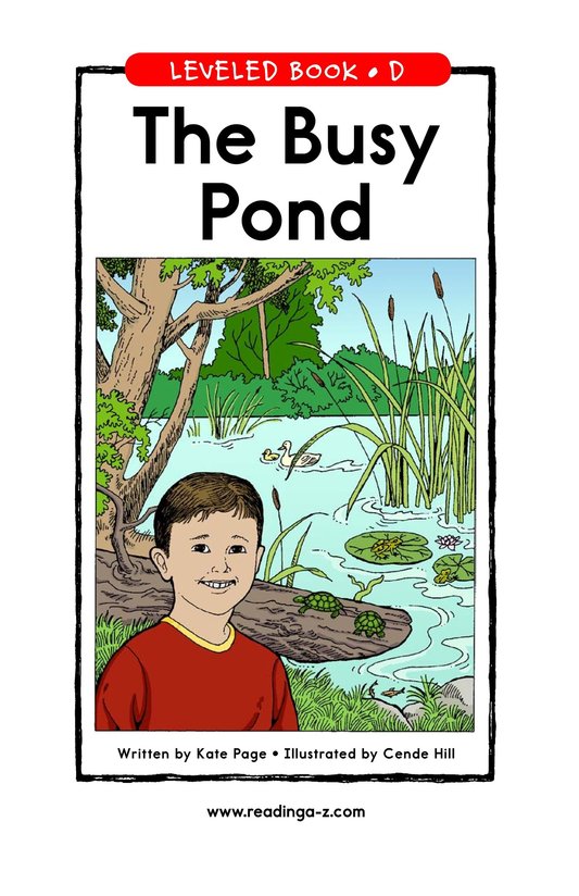 The Busy Pond