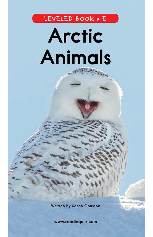 Arctic Animals