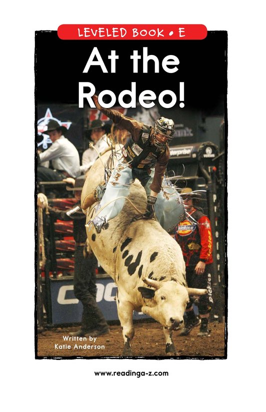 At the Rodeo
