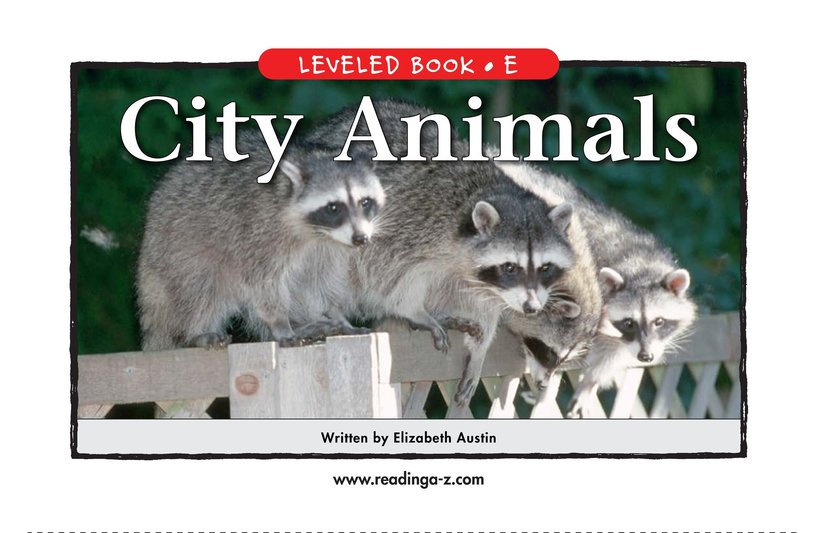 City Animals