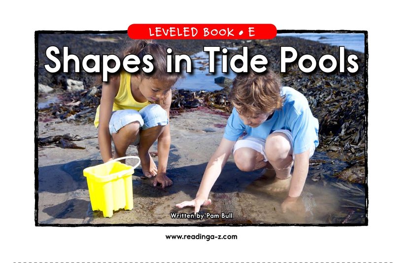 Shapes in Tide Pools
