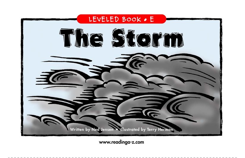 The Storm