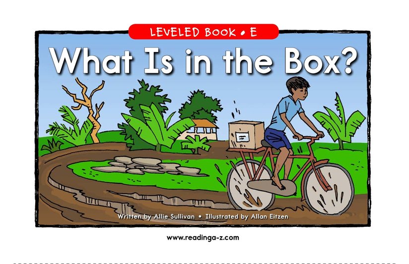 What Is in the Box