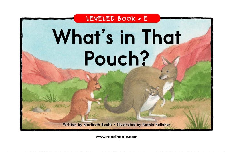 What's In That Pouch