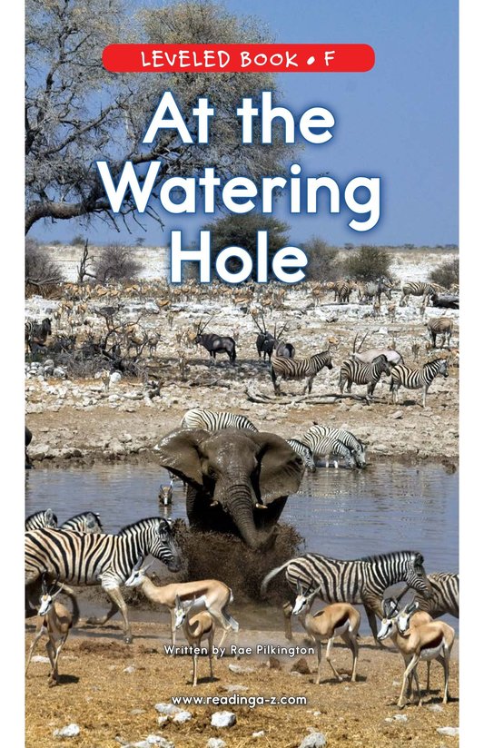 At the Watering Hole