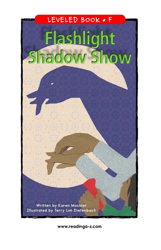 Flashlight Shadow Show