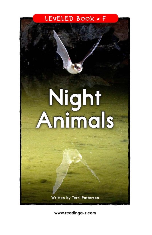 Night Animals