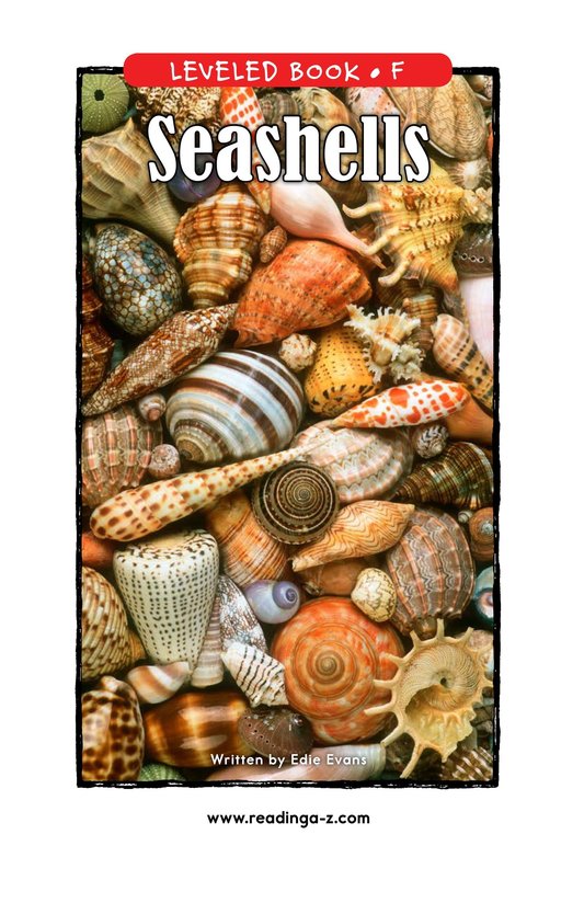 Seashells