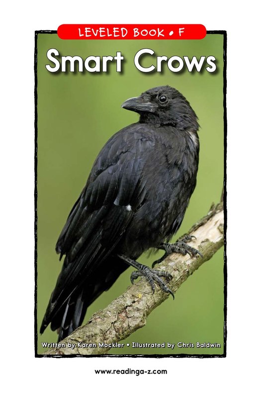 Smart Crows