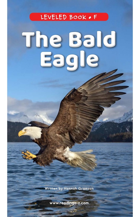 The Bald Eagle