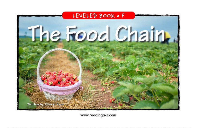 The Food Chain