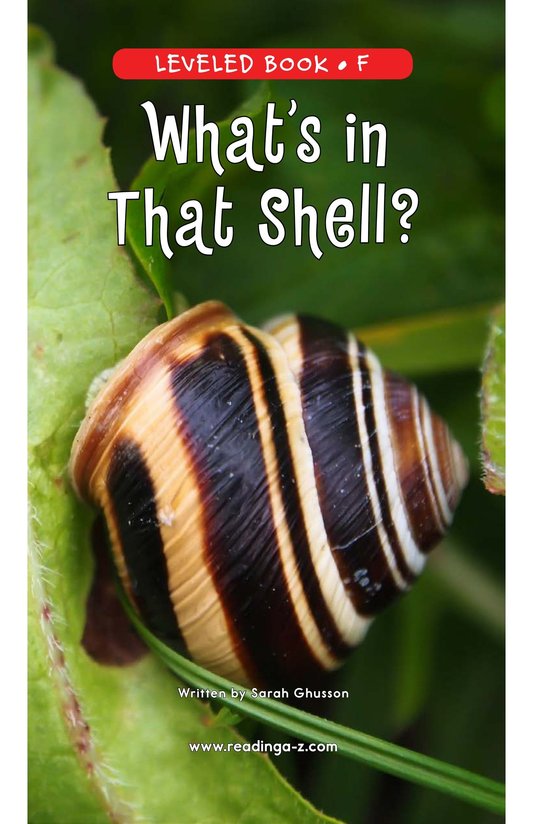 What's In That Shell