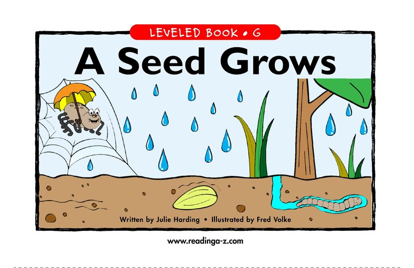 A Seed Grows