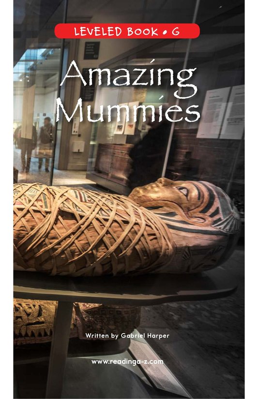 Amazing Mummies