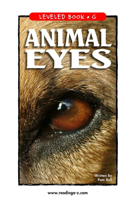 Animal Eyes